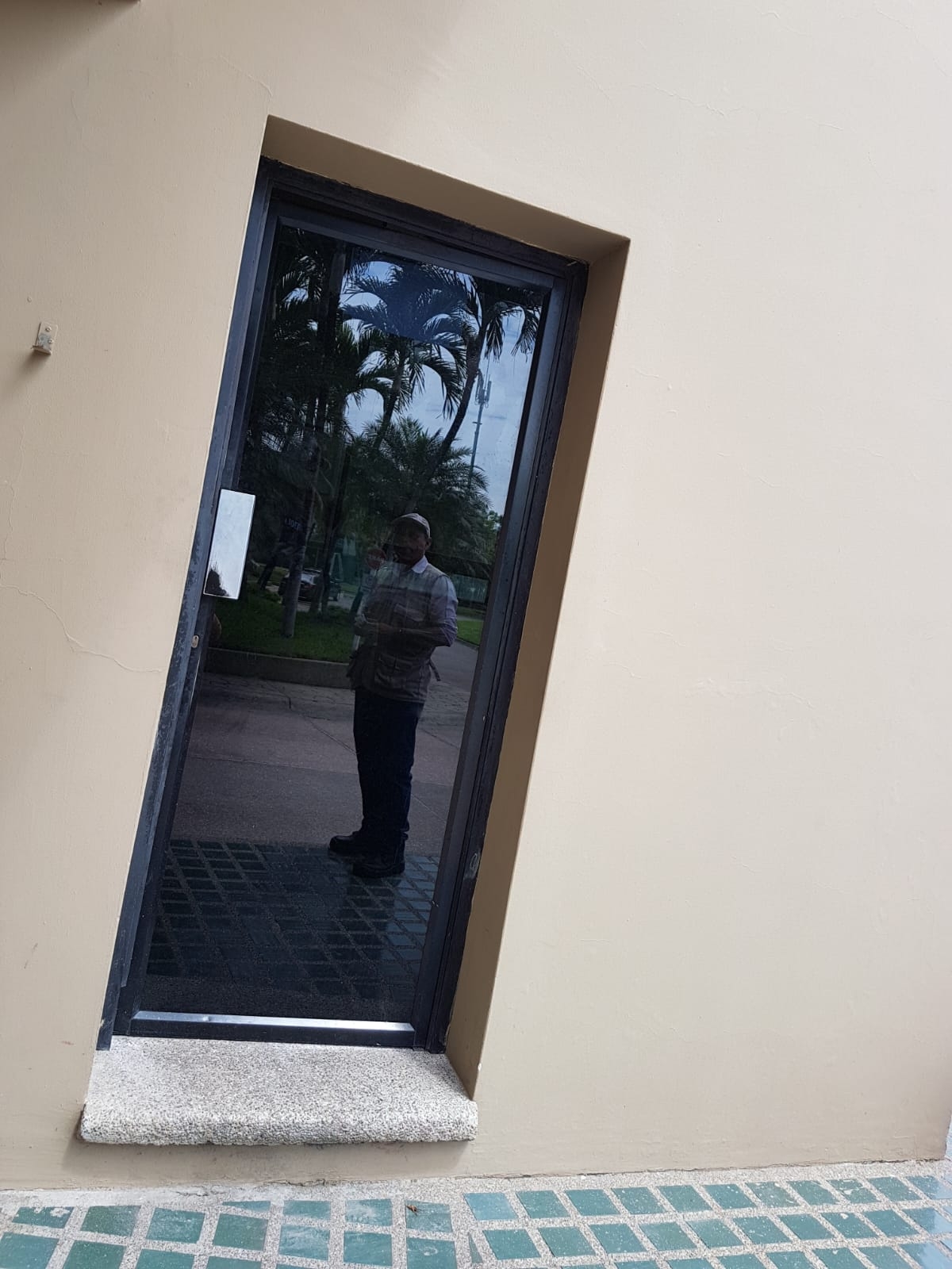 Reflejo de hombre en puerta de vidrio, palmeras.